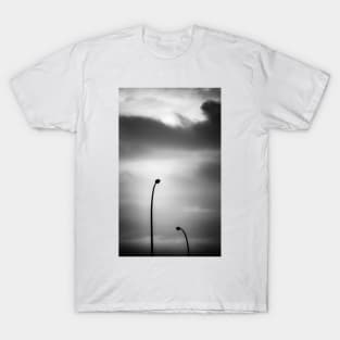 seeking absolution T-Shirt